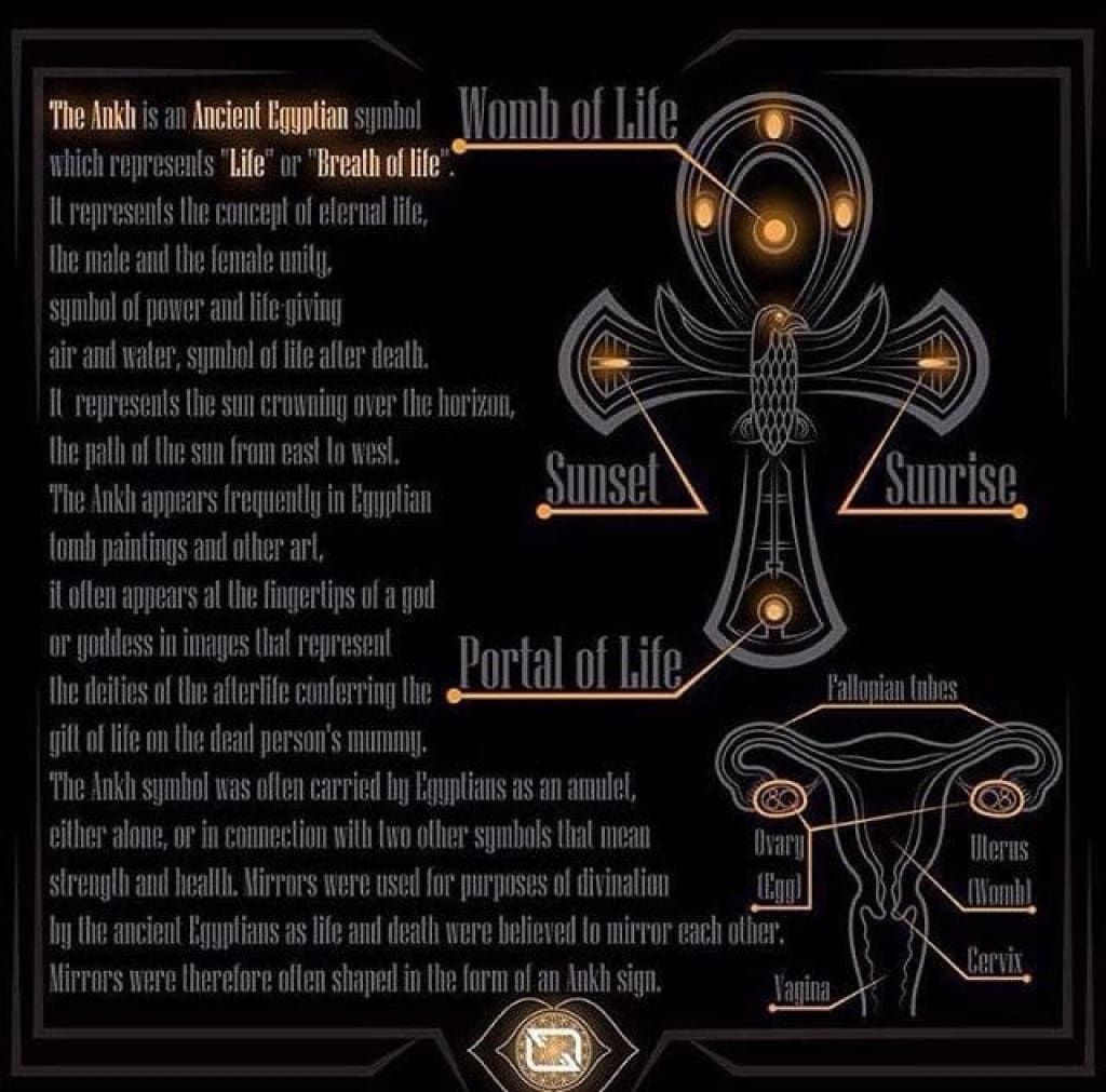 Ankh x silver earrings - Earrings