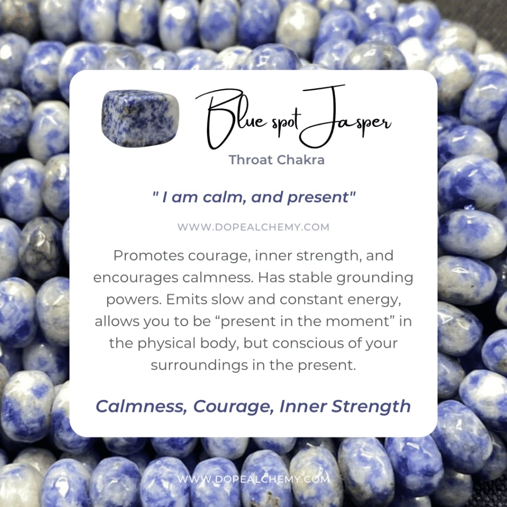 Blue spot jasper keychain