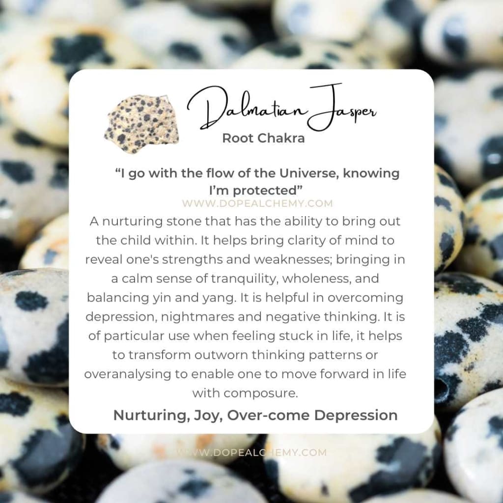 Dalmatian jasper stud earrings - Studs