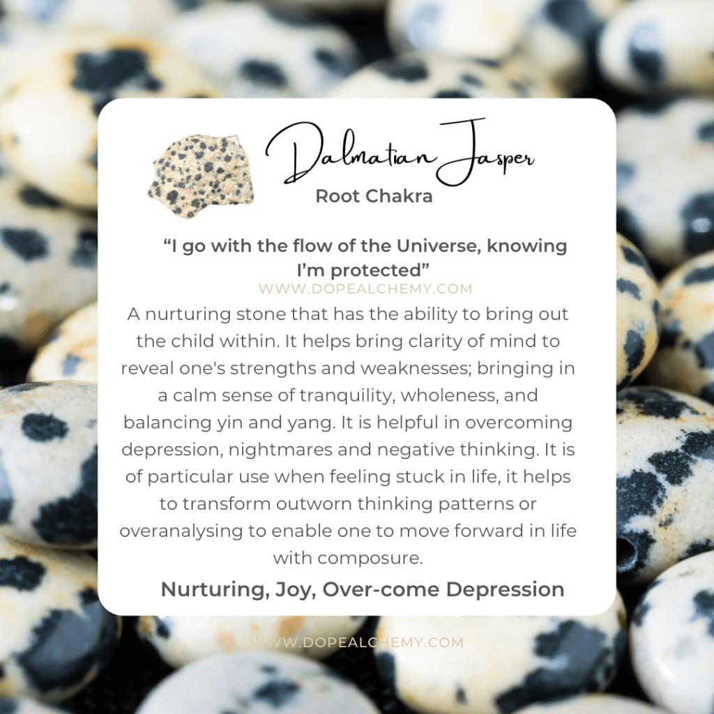 Dalmatian jasper x onyx bracelet - Bracelets