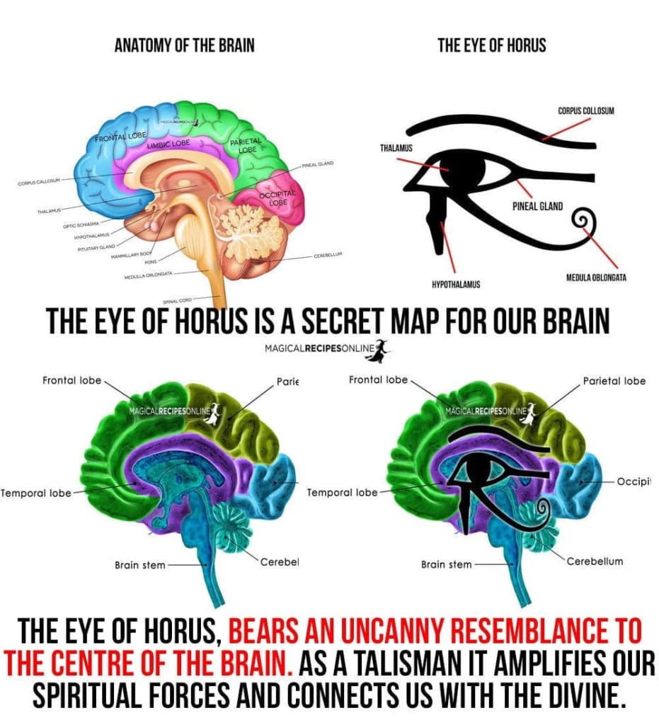 Third Eye x Bronze Huggie Earrings-Earrings-Dope Alchemy Handcrafted-DopeAlchemy.com