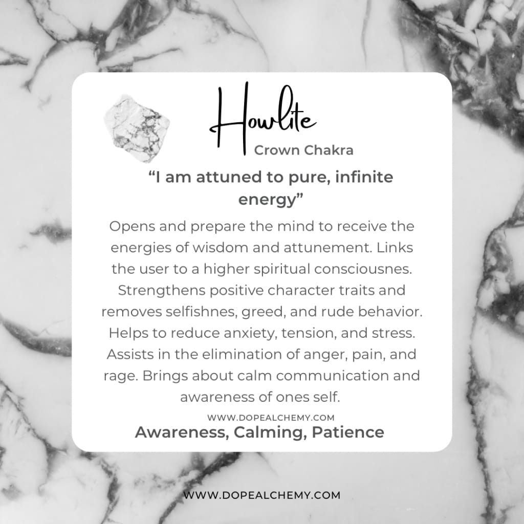 Howlite x onyx bracelet - Bracelets