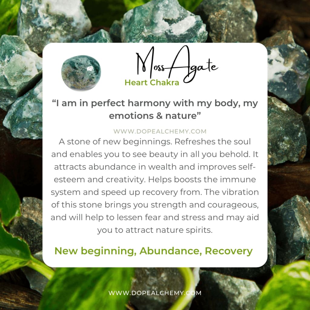 Moss agate x white jade bracelet - Bracelet