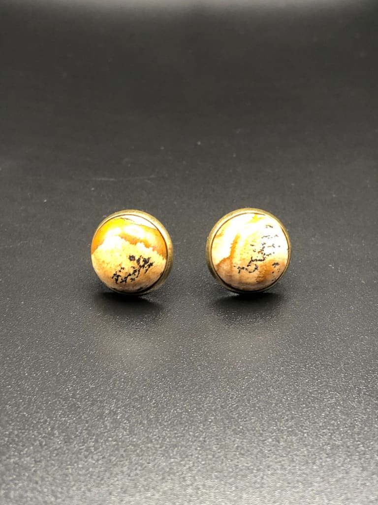 Picture jasper x bronze stud earrings - Studs