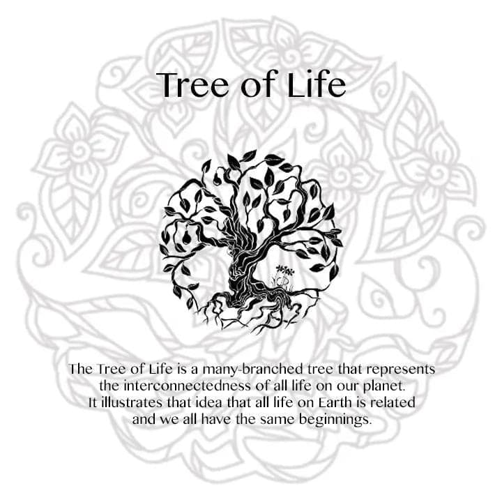 Amazonite x Tree of Life bracelet-Bracelet-DopeAlchemy-DopeAlchemy.com