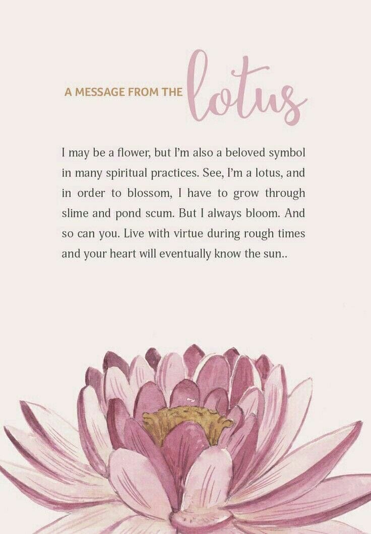 Unakite x Lotus Flower x Buddha Charm Bracelet Set