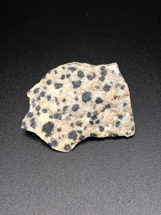 Raw Dalmatian Jasper Stone